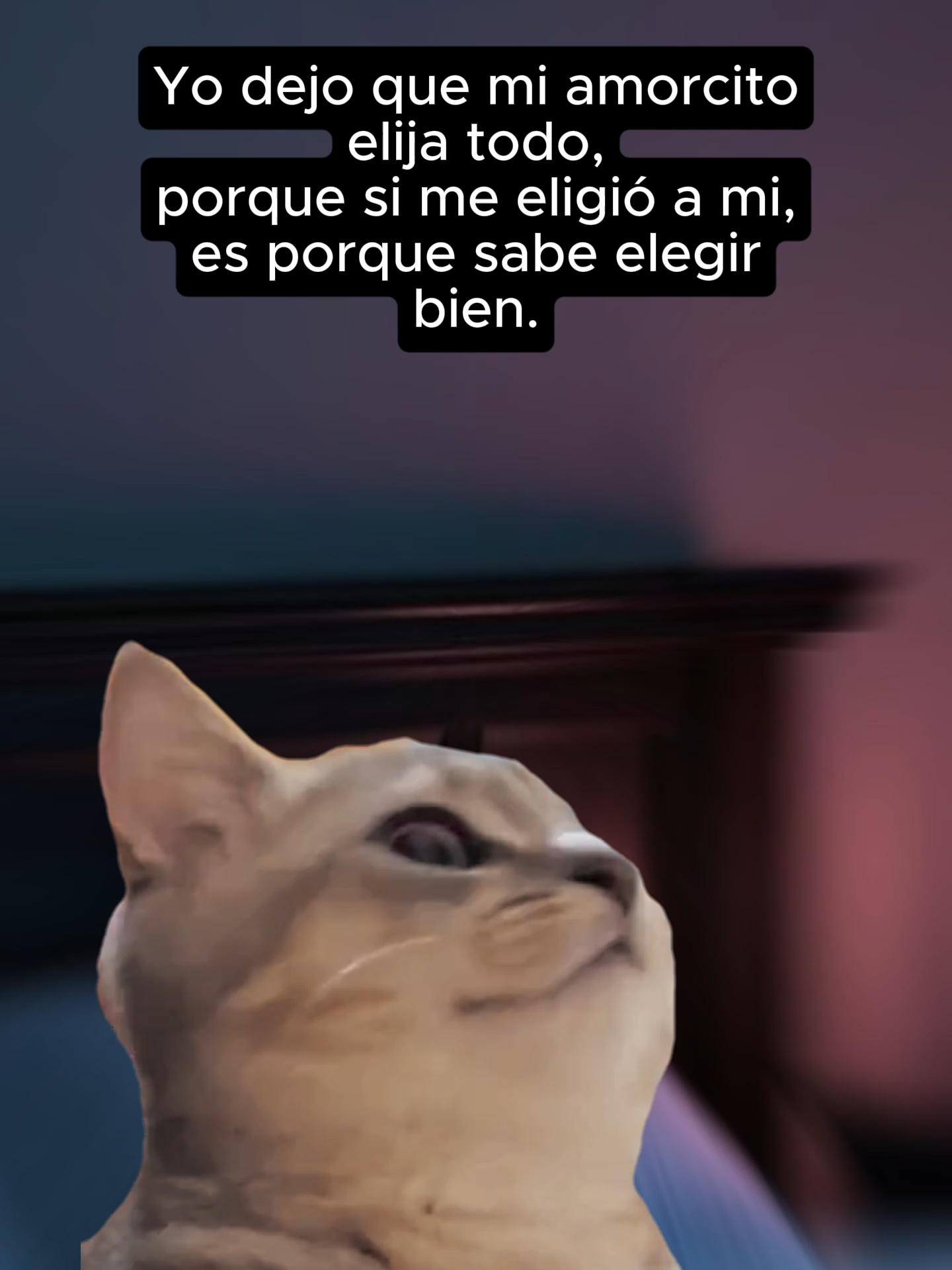 🥰💘 Nivel máximo de confianza desbloqueado Si me escogió a mí, puede escoger hasta el menú de la boda 😂✨