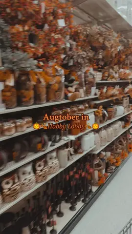 My favorite time of year🍂🎃🍁🧡  #fyp #hobbylobby #fallaesthetic #spookyseason #shoppinghaul  @Hobby Lobby 