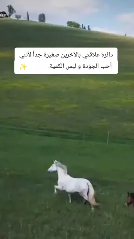 #اعلى_مشاهدة_في_تيك_توك #كلام_من_القلب #اكسبلور #الشعب_الصيني_ماله_حل😂😂 