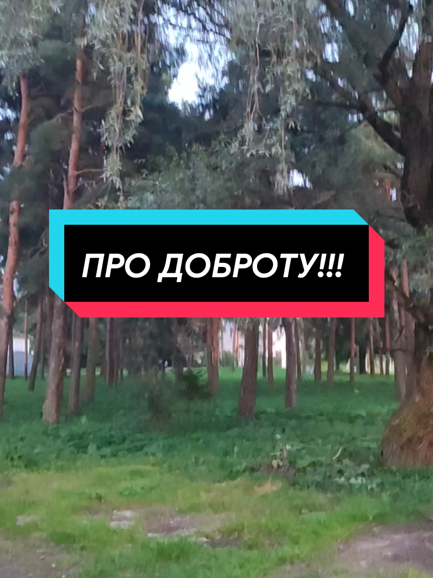 Всегда верьте в доброту и сами будьте добрее🙏🙏🙏Доброта спасёт мир!!!  #добротаспасетмир #добро #чувства #любовь❤ 