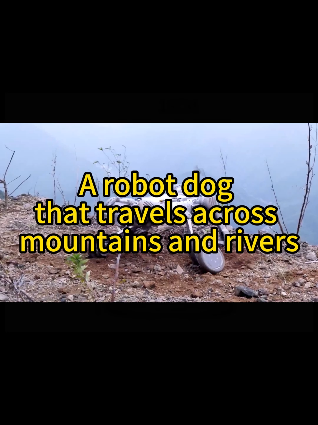 Do you like it?#robot