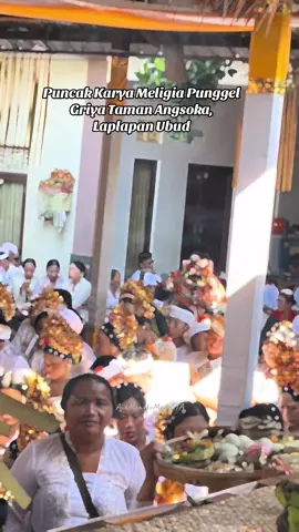 Puncak Karya Meligia Punggel Griya Taman Angsoka, Laplapan Ubud #karyameligia #griyatamanangsokalaplapanubud #mogirahayulabdakarya 