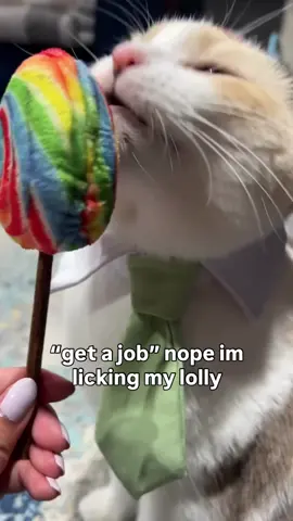 #cat #cats 