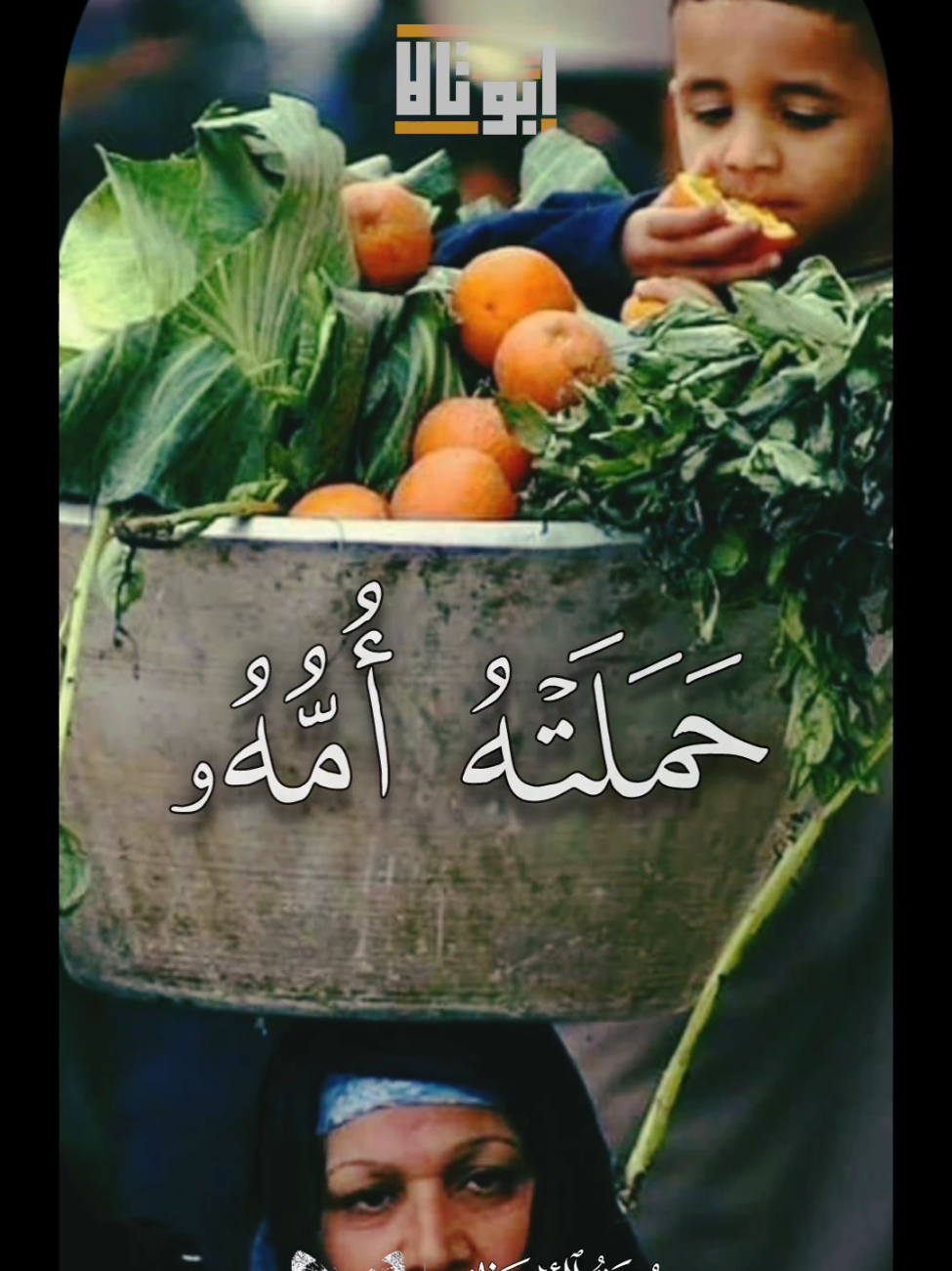 حملته امه التلاوة الاشهر للشيخ محمد حامد السلكاوي 🦩🦩 . . . #الشيخ_محمد_حامد_السلكاوى #حملته_امه_كرها_ووضعته_كرها #قران 
