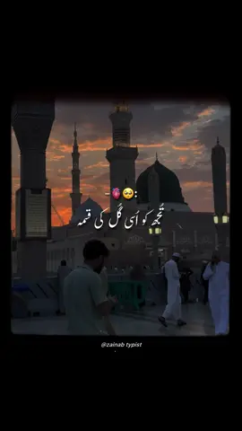 Tajdar e Haram 🥹 #viralvidoes #allahhuakbar #foryoupage #allahuakbar #foryou #allah #rasoolallah #zainab #viral 