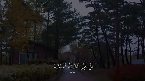 سورة #الانعام | #عبدالله_ابو_النجا 