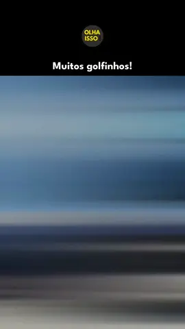 Hoje tivemos a sorte de receber uma visita especial na travessia para Cocos Keeling! 🐬💙 Confira esse momento incrível e não esqueça do conteúdo exclusivo de @irmaoskatoosh!