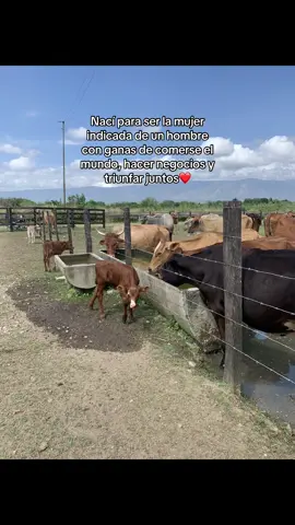 ❤️🙏🏻 #amor #ganado #fincas #campo #fyp 