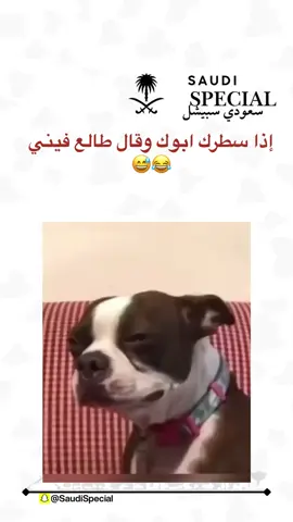 😂😂😂😂🤣 . . #سعودي_سبيشل #مقاطع #مضحك #مضحكه #ترند #explore 