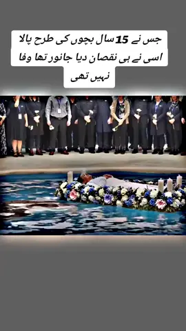 Dolphins # #ripjessica #fishattack #dolphen #jessic #creatorsearchinsightsviews 