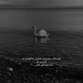 #viral #kurdistan #foryou 