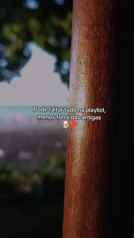 Forró das antigas é bom demais  #forronotiktok #forró #viralvideos #videoviral #calypso #forrodasantigas #joelma #fortaleza #moleca100vergonha #forrozeiros #nostalgia 