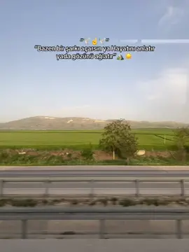 #storilikvideolar📌 #heryerdeyiz #beniöneçıkart 