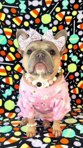 Currently working on a restock! 🥹🙏🏼 Thank you guys so much for the support on our new Halloween collection! We’re beyond grateful! 🫶🏻🥹🎃 #halloween #halloweendog #halloweendogaccessories #petaccessories #clothingforpets #pink #cutesy #coquette #frenchiesofinstagram #frenchielove #frenchielife #frenchieoftheday #bulldog #dogs #dogaccessories  #puppies #frenchiemom #frenchiepuppy #frenchbulldog #frenchie #frenchies #dogmodel #dogbows #doberman #dachshund #corgi #pug 