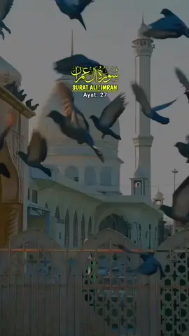 #اللهماشوليالسيدنا #اللهماشوليالسيدنا #creatorsearchinsights #fypシ゚viral🖤tiktok #fypシ゚viral🖤tiktok☆♡🦋myvideo 