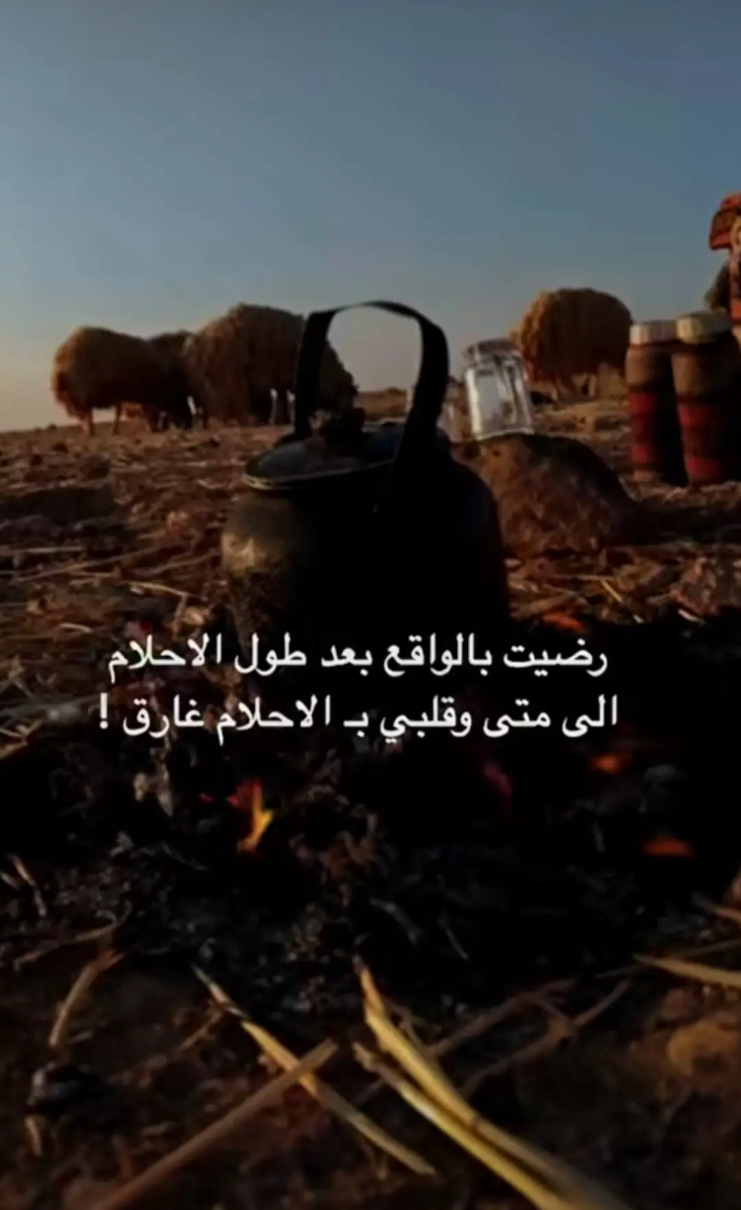 #قصايد #بدويه #حياة_البدو_عز_وفخر 