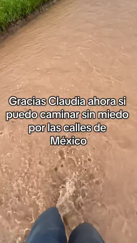 #claudiasheimbaum #4t #chiste 