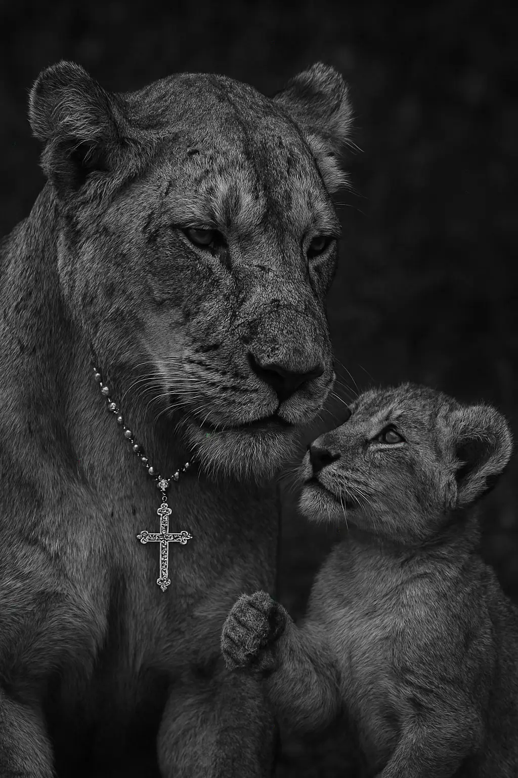#trend #foryou #leao #babyson #son 