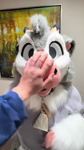 I’m here at indy fur con! #fursuit #furryfandom #fursona #fursuiter #fursuitmaker #fursuiting #fursuitersoftiktok #indyfurcon 