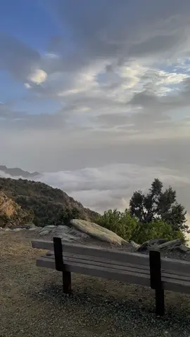 Welcome to abha🌥️   #CapCut #abha #امطار_اليوم #السودة #مطل #الشعب_الصيني_ماله_حل😂😂 #ابها 