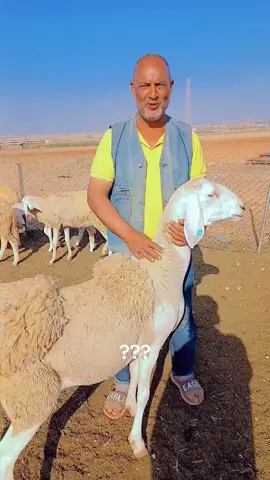 #شعب_الصيني_ماله_حل😂😂 