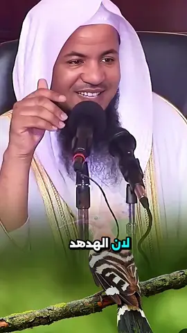 #محمد_بن_علي_الشنقيطي  #المغرب #مصر #تونس #السعودية 