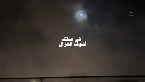 في عنقك اشوف الغزال 🧑🏻‍🦯 . #محمد_بن_غرمان #تصميمي #foryo #fyp 