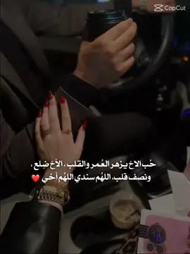 حب الاخ يزهر العمر والقلب❤🫶🏻