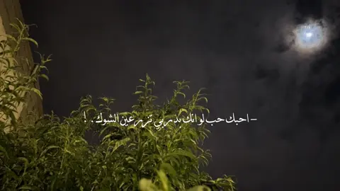 احبك حب لو انك بدربي تزرعين الشوك 🧑🏻‍🦯 . #ناصر_السيحاني #تصميمي #foryo #fyp 