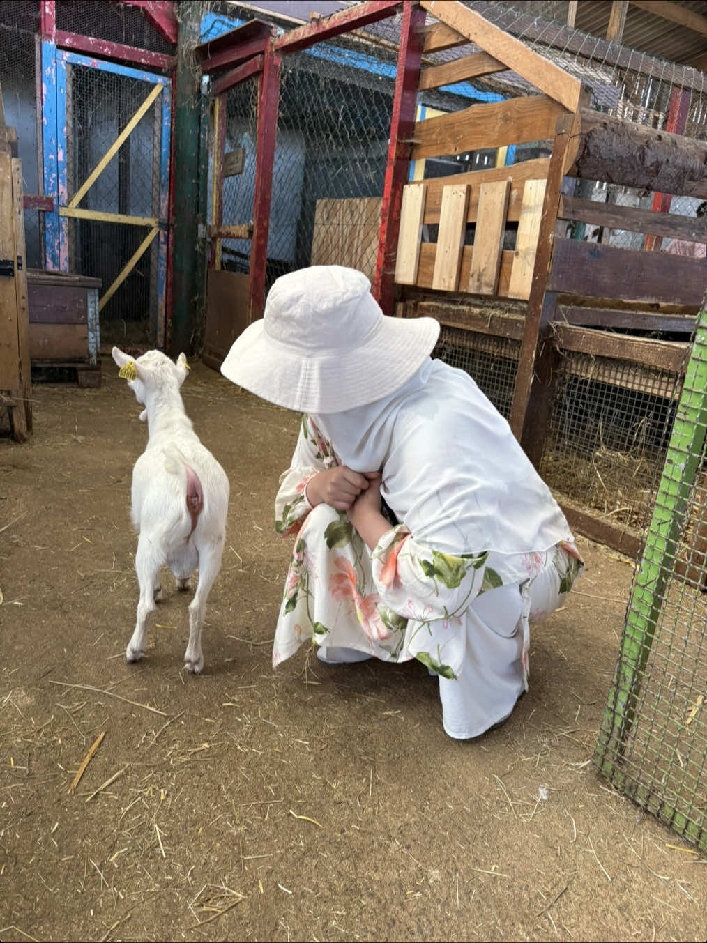 Qu’Allah me permette d’avoir une ferme ! 🥹🙏🏼