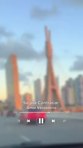 Amor verdadeiro - Só pra Contrariar #spc #pagode #tipografia #status #fyp 