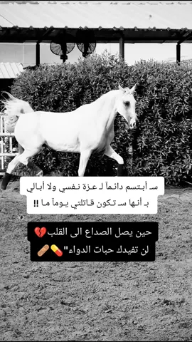#خيول_عربية_اصيلة❤️🐎 #خيل_وخياله🐎  #مجرد________ذووووووق🎶🎵💞  #المصمم_بوهيبه🎬بوهيبه🎵  #استوريات_انستا_واتساب 