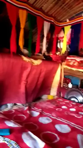 #قولي ماشاء الله ي شباب وبنات حبايبي قلبي #✌️🧿✌️ 