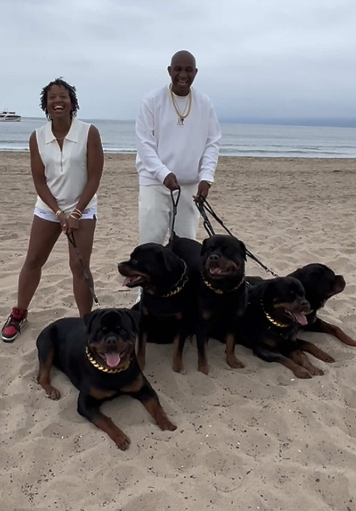 The 5 Rs on the beach during the photoshoot is priceless! 🐶🐶🐶🐶🐶🐶❤️💦#fyp #influencer #dogsoftiktok #rottweilersoftiktok #dog 