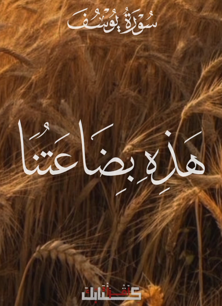 🦩| امير النغم 🤎🤎🤎 .  .  .  #قران #quran #الشحات_محمد_أنور 