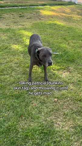 he turned around rq #foryou #dunkindadawg #foryoupage #fyp #viral 