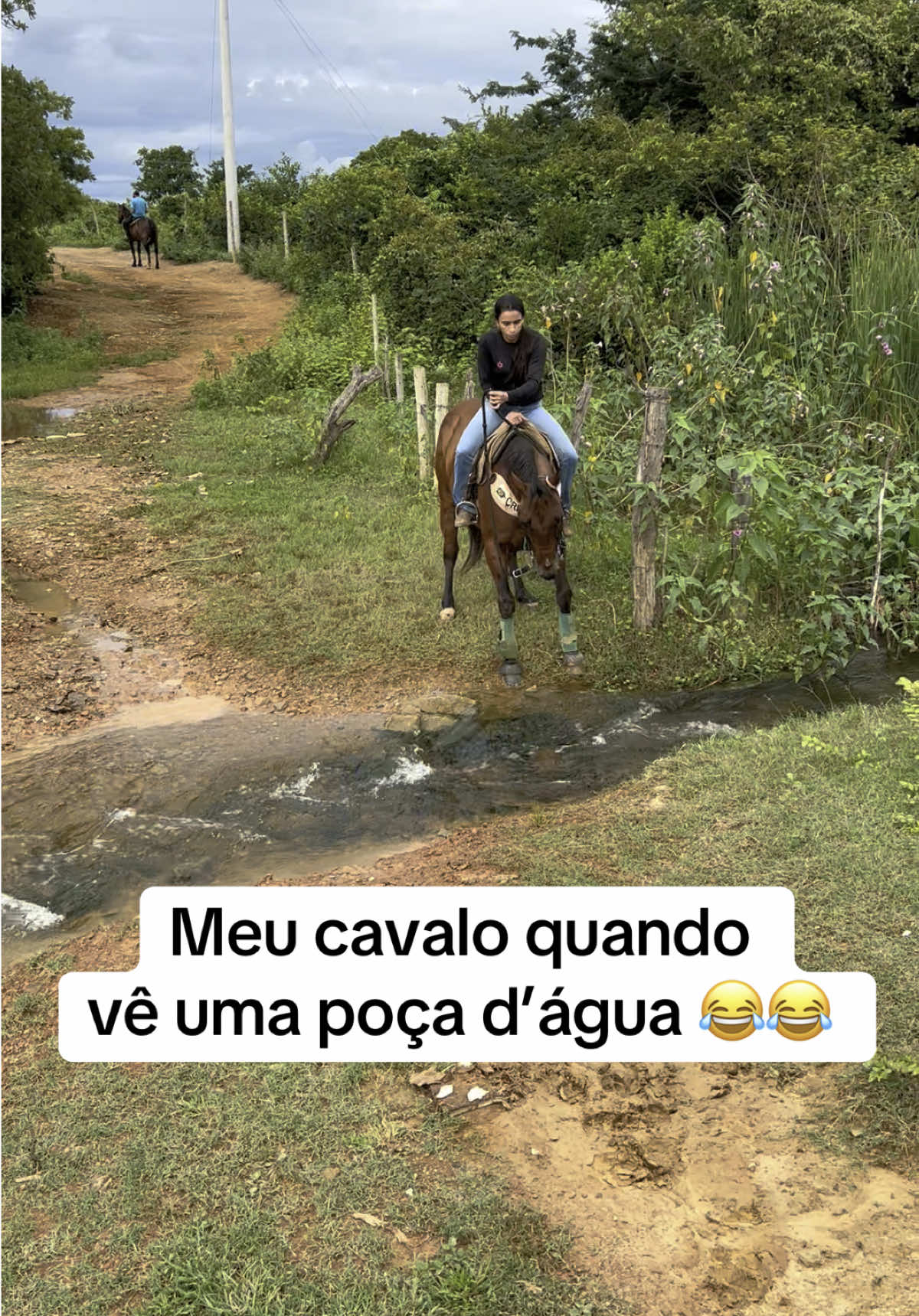😂😂 #agropecuaria #roça #flypシ #vaquejada #cavalo 
