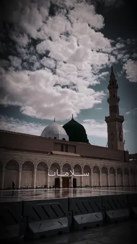 سلامات #استشهاد_النبي_الأعظم #استشهاد_الرسول_الاعظم_محمد🥺💔 #سلامات_ليش_المدينة_مظلمة #٢٨صفر_شهادة_الرسول_الأعظم_محمد #النبي_محمد_صل_الله_عليه_و_آله_وسلم 