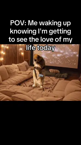 Relatable?😂#relatable #fypシ #Relationship #viral #viraltiktok 