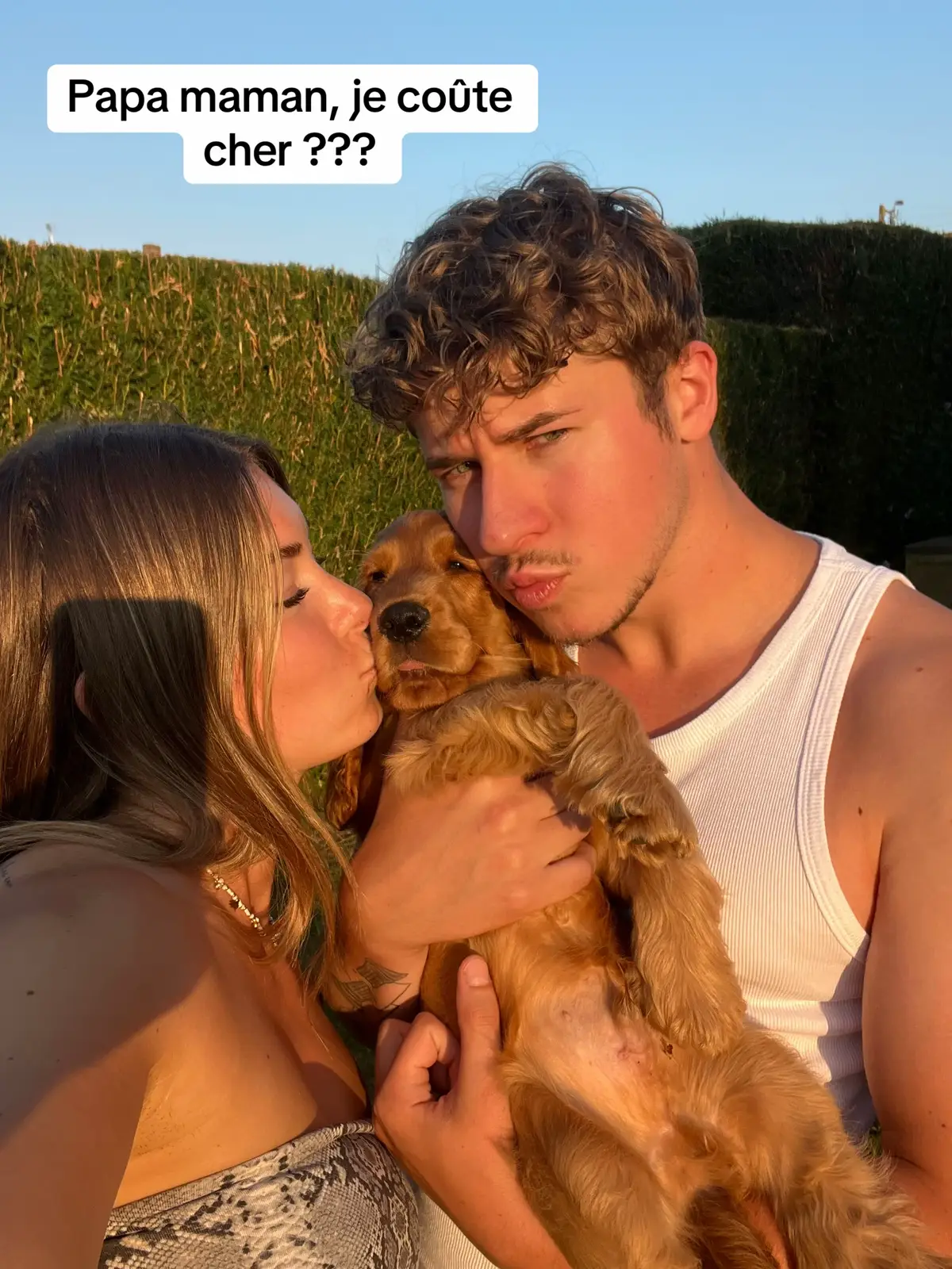 Bienvenu dans la famille Aïko ❤️#tendance #dogs #viral #humour #trend 