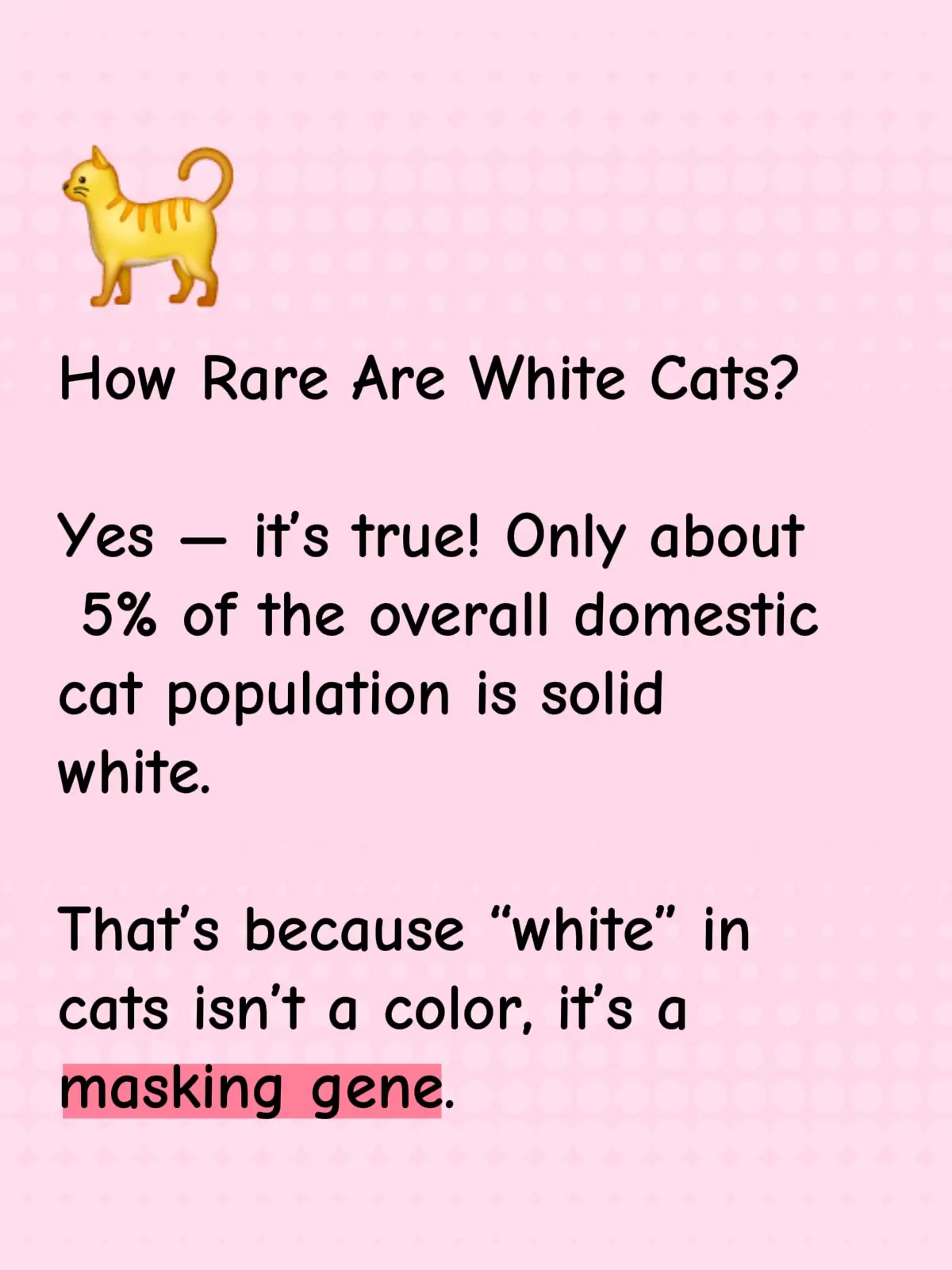 How Rare Are White Cats? Yes — it’s true! Only about 5% of the overall domestic cat population is solid white. That’s because “white” in cats isn’t a color, it’s a masking gene (the “dominant white” gene, W). It basically overrides whatever tabby, black, or calico pattern the cat would have had underneath. Why You Don’t See Them Often Most cats in the wild carry survival-friendly coats (tabby, brown, mixed). White fur sticks out like a neon sign in nature, so it doesn’t pass down as easily in feral colonies. Breeds specifically bred for white (Persians, Turkish Angoras, Khao Manee) are more likely to produce them — but random strays?   Of those rare white cats, 17–22% with blue eyes are deaf (one or both ears). If they have one blue eye and one gold eye, usually the blue-eyed side is the deaf one. Non-blue-eyed whites usually hear just fine. So if you’ve got 1 out of 50 — that’s exactly what the math says should happen. You’ve basically got the unicorn of your colony. 🦄🐈‍⬛✨ #cats #whitecats #teamwork #catsoftiktok #textfeature 