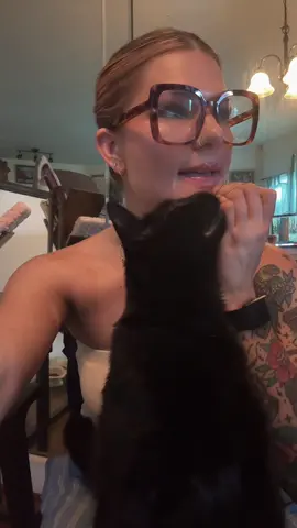 Pls look 🥹 #catsoftiktok #cat #cats #catlife #catmom 