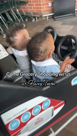 Grocery Shopping 🛒 with the Twins 