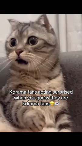 #kdramameme #foryou #kdramafyp #fypシ゚ 