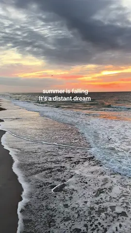 🖤 (except Wilmy still has a month left of beach days) 
