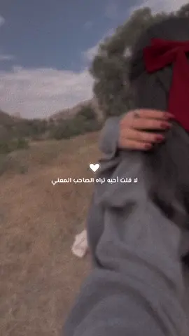 منشن الصاحب المعني❤️#منشن_شخص_تبي_يشوف_المقطع #أصاله #ترند_تيك_توك #أصاله #4u 