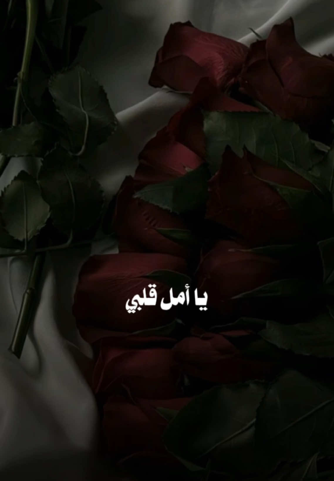 يا أمل قلبي ويا زين السكون✨💛 الأماني في العمر قرب ورضاك✨💛 #غيرك_سواك #عبدالمجيدعبدالله #عبدالمجيد_عبدالله #مجيديات #تصميم_فيديوهات🎶🎤🎬 
