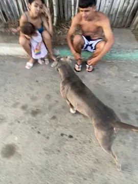 Miau miau dijo el Max jaja