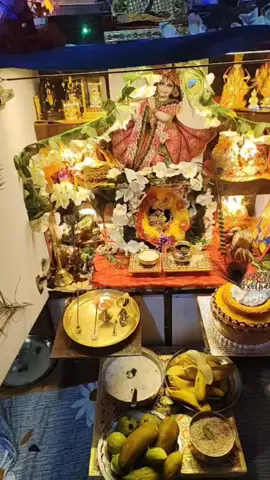 Ham sab bolenge happy birthday to you 🎁🎁#happyjanmastmi @Radhya Thakur 