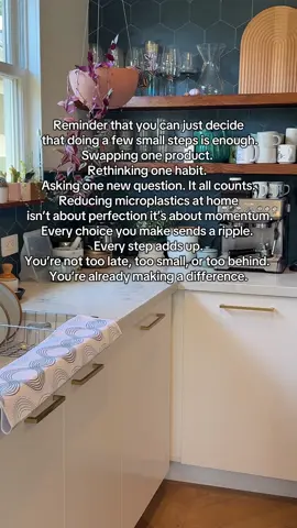 Sustainable living starts small. Every step to reduce microplastics at home matters because progress over perfection. 🌱 #SustainableLiving #Microplastics #microplasticfree #SmallStepsBigImpact 